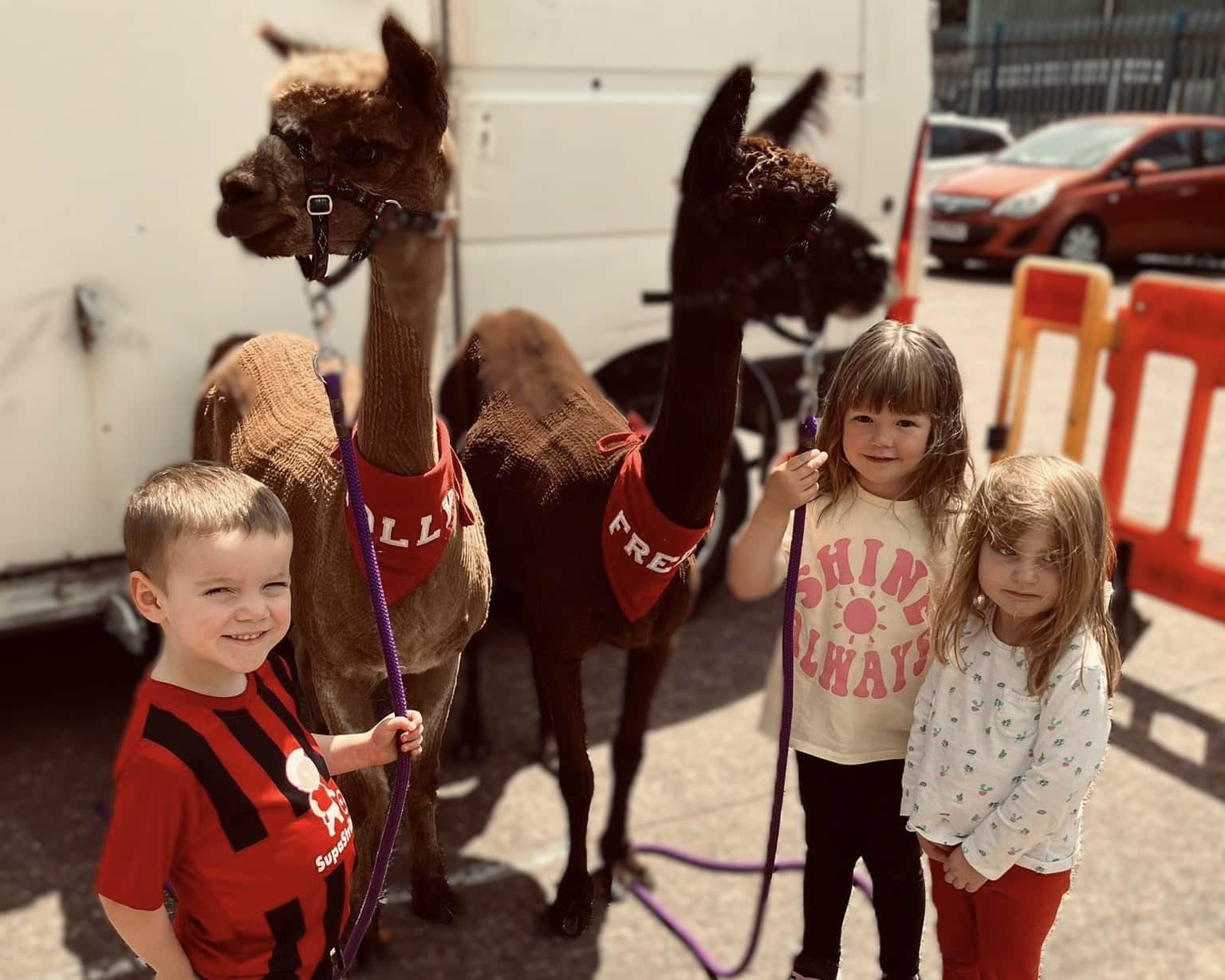 Llama day